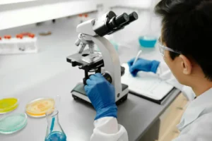 Lorem ipsum dolor sit amet consectetur adipiscing elit